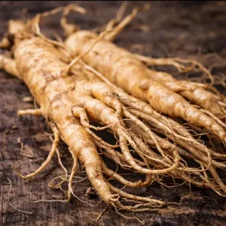 Ginseng